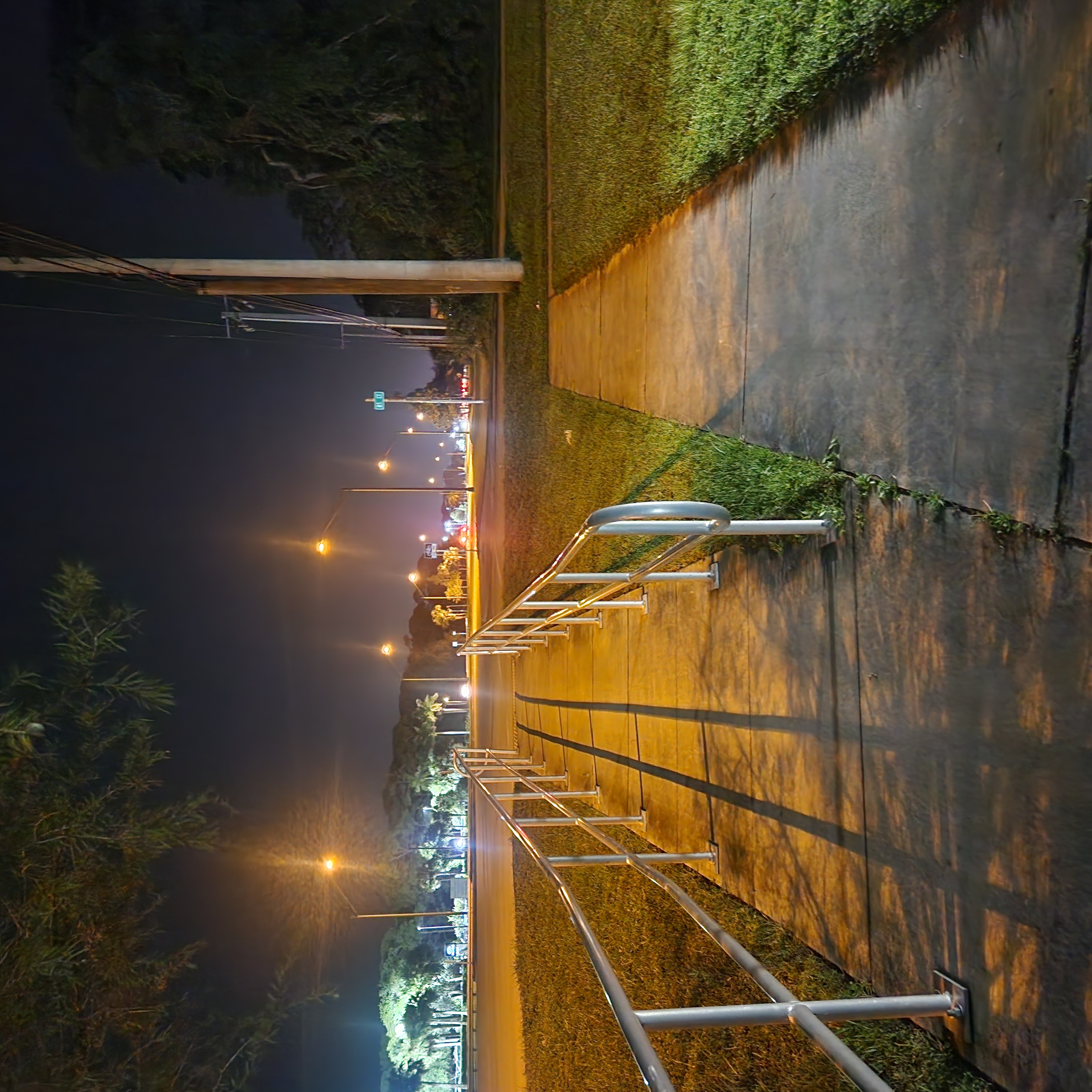 The Buffett Principle for Life: How a Dozen Decisions Can Shape an Extraordinary Future